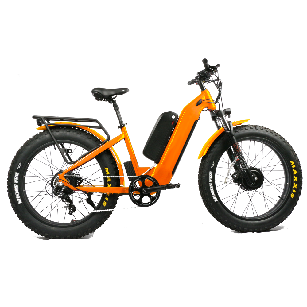 Dual Motor Electric Motorcycle Frame - Hydraulische Vordergabel zum Günstigen Preis 1000W