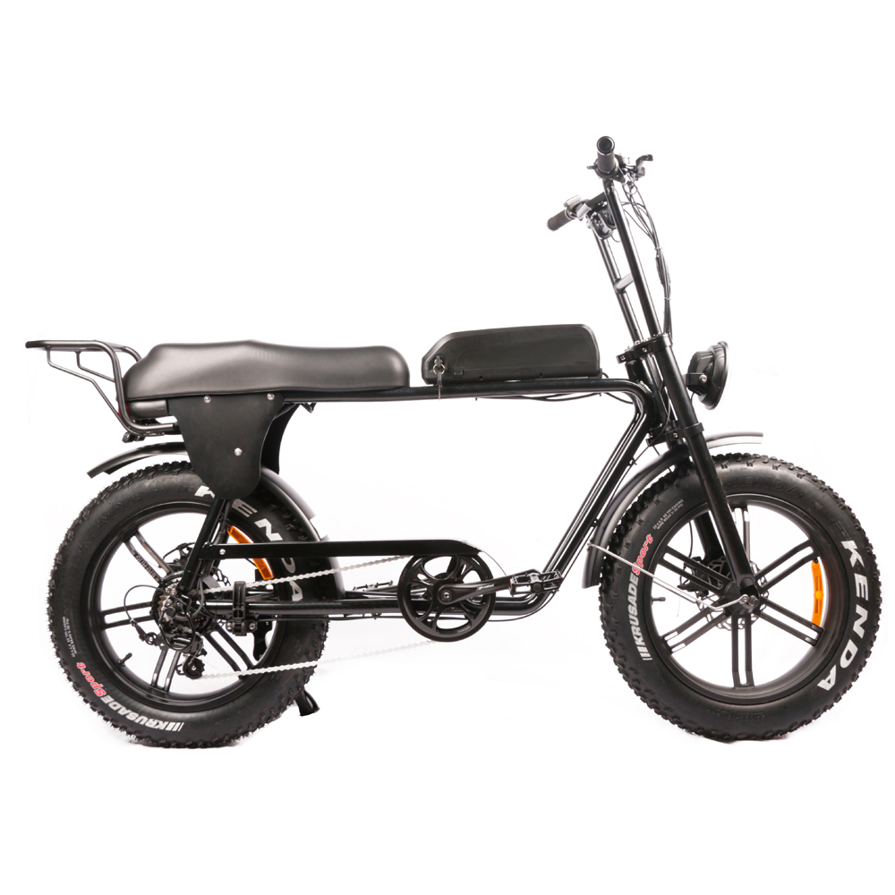 Günstigste Dual-Motor-Elektrof – Dual Motor Electric Motorcycle Frame Bewertung und Preis