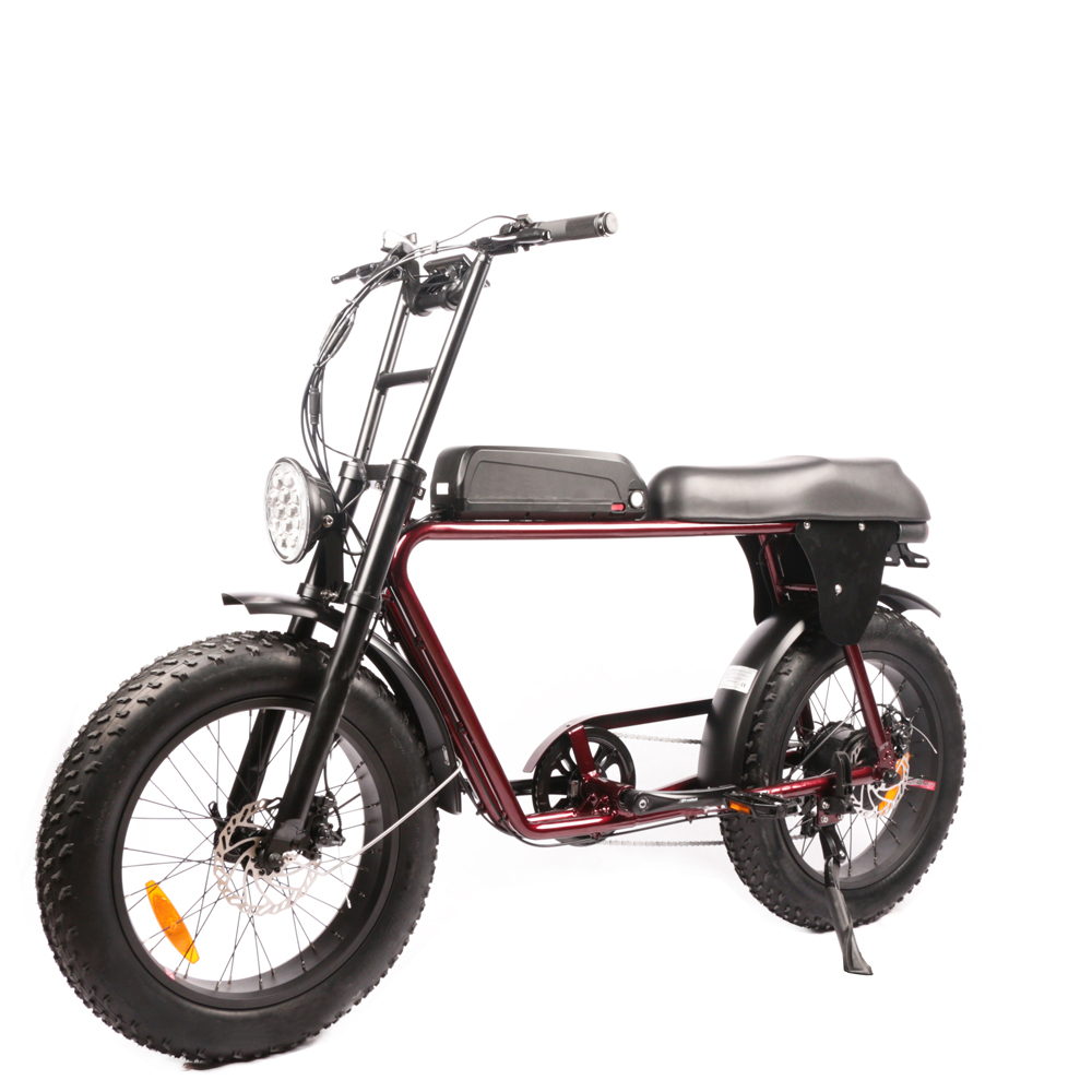 Günstigste Dual-Motor-Elektrof – Dual Motor Electric Motorcycle Frame Bewertung und Preis