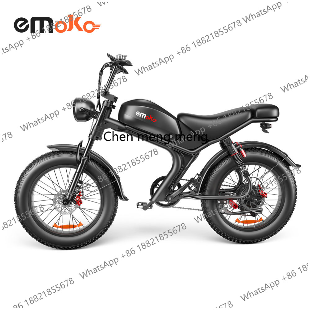 20-Zoll E-Bike mit Einzel- & D – Dual Motor Electric Motorcycle Frame Bewertung und Preis