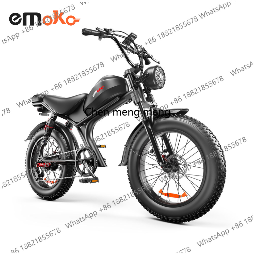 20-Zoll E-Bike mit Einzel- & D – Dual Motor Electric Motorcycle Frame Bewertung und Preis