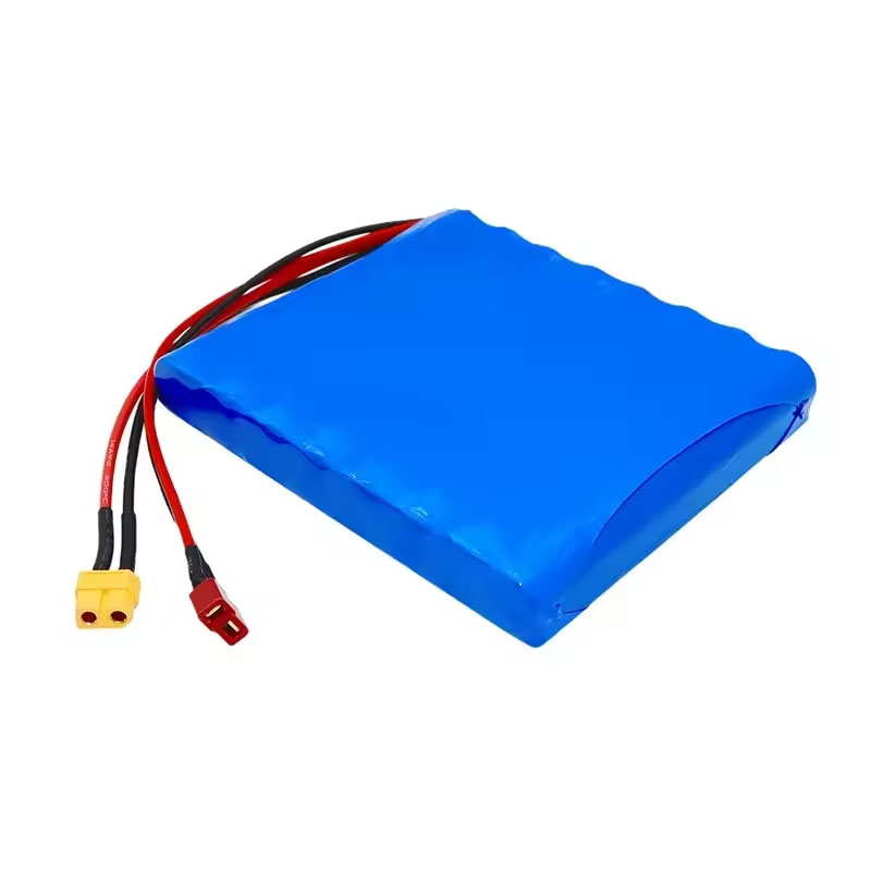 Lithium-Akku für Elektroroller – 60V 30Ah Electric Scooter Battery Bewertung und Preis